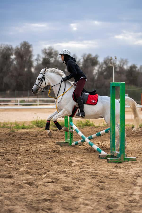 1 Hour Horseback Dubai Desert Park Ride - What Happens Before You Leave the Stable