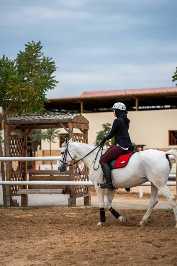 1 Hour Horseback Dubai Desert Park Ride - Why the Small Group Matters