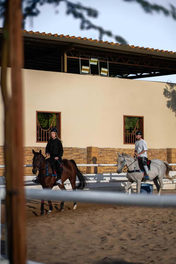 1 Hour Horseback Dubai Desert Park Ride - How to Prepare for Mushrif Park