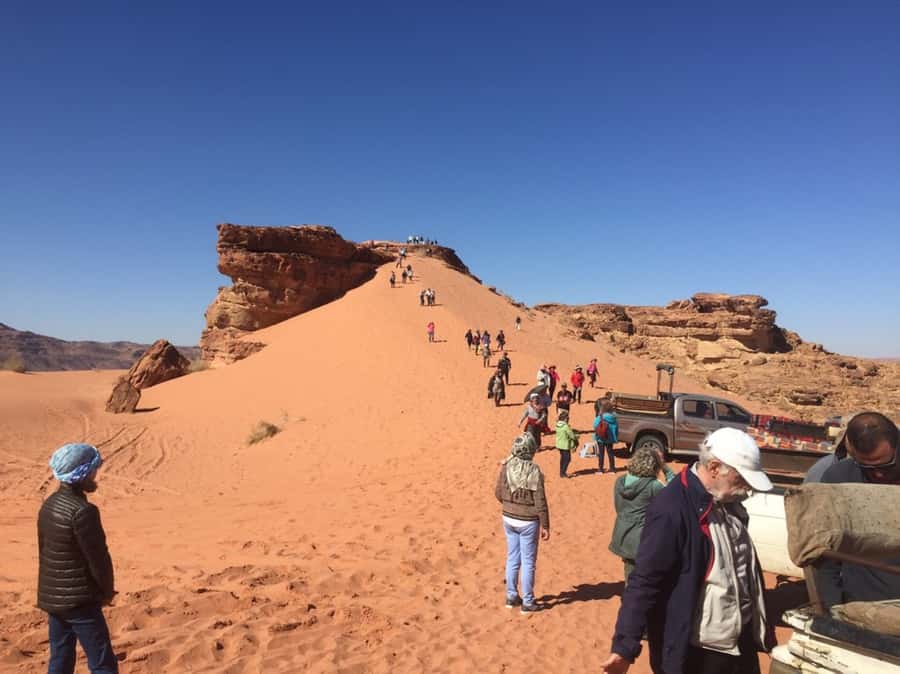 4Hour Jeep Tour (Morning or Sunset) Wadi Rum Desert Highligh - Wadi Khazali and ancient inscriptions