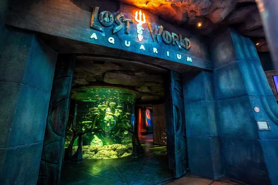 5-Day Pass: Hop-On Hop-Off, Lost World Aquarium, Dubai Frame - Five days to make sense of a very spread-out city