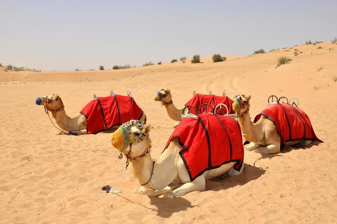 57 Heritage Desert Safari - The afternoon pickup and ride from Dubai