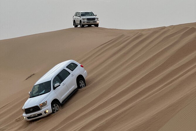 Abu Dhabi Desert Safari With BBQ Dinner & Live Shows - From Abu Dhabi hotels to the Al Khatim dunes
