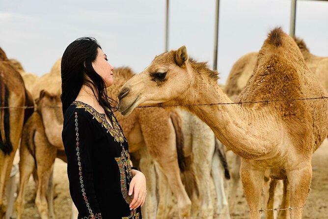 Abu Dhabi Desert Safari With BBQ Dinner & Live Shows - What the $60 price really buys
