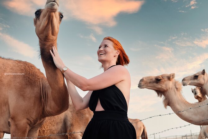 Abu Dhabi Evening Desert Safari BBQ, Camel Ride, Entertainments - Sandboarding and optional quad biking