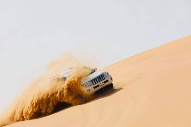 Abu Dhabi: Evening Desert Safari with Camel Ride, BBQ & Live Show - Who will enjoy this safari most