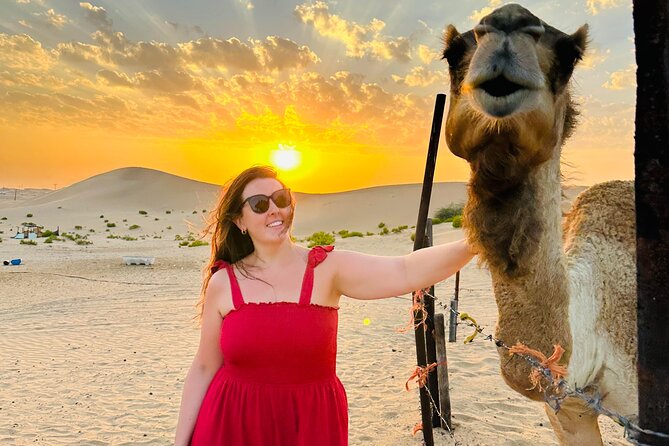 Abu Dhabi: Evening Desert Safari with Camel Ride, BBQ & Live Show - A camel farm, feeding, and a short ride