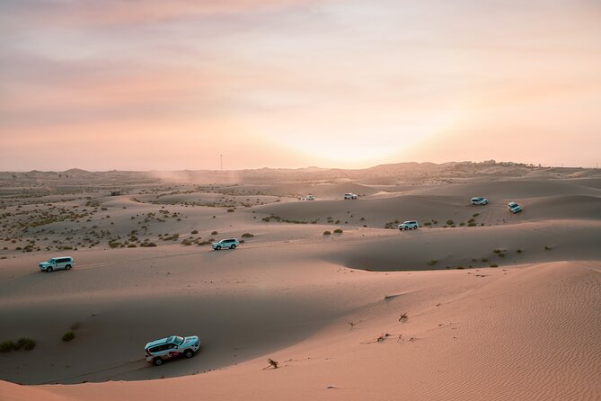 Abu Dhabi Morning Desert Safari: 4x4 Dune Bashing, Camel Ride and Sandboarding - Abu Dhabi’s desert before the heat