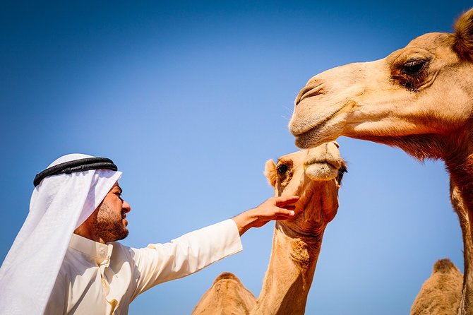 Abu Dhabi: Morning Desert Safari with Camels and Sandboarding - Dune bashing is the reason to book