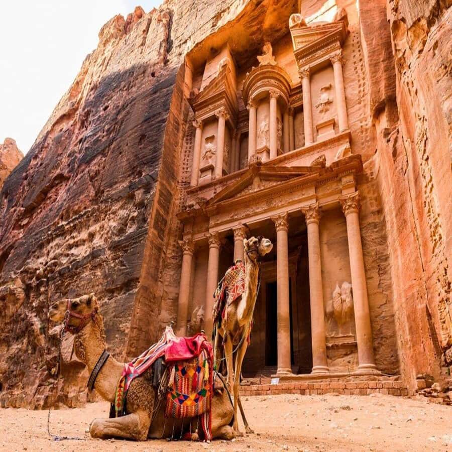 Amman Private Tour Petra Wadi Rum And Dead Sea 2day Bubble - The long road south from Amman