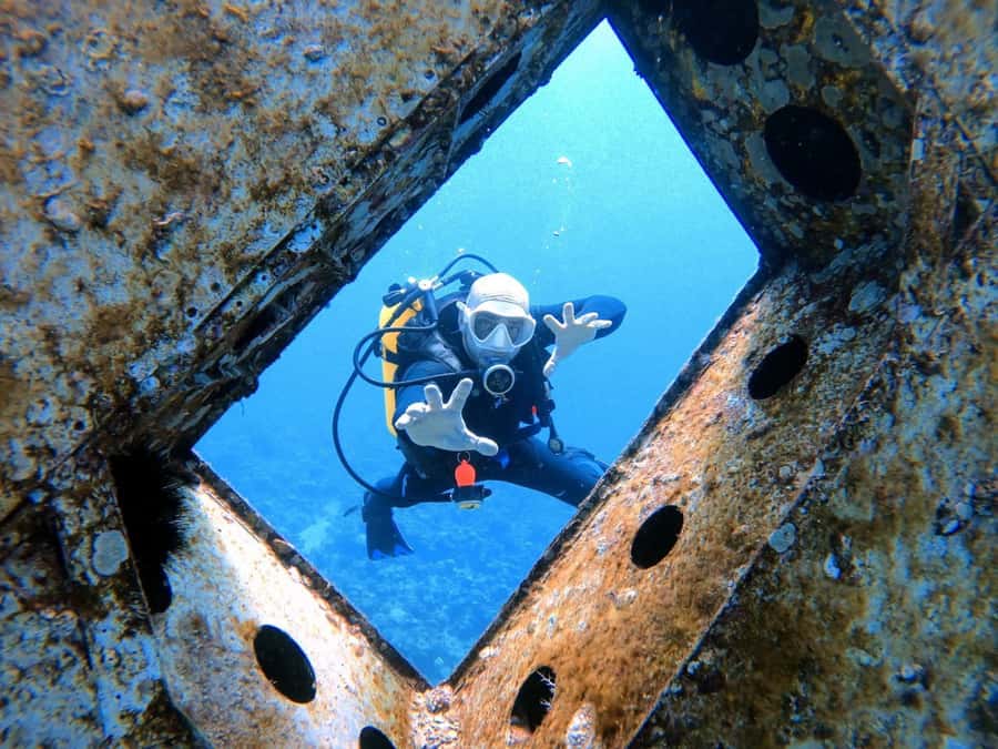 Aqaba: Private Red Sea Diving for Beginner or Experienced - What the Aqaba shore offers underwater