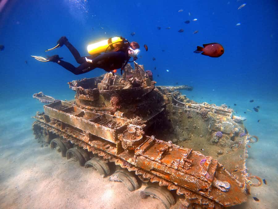 Aqaba: Private Red Sea Diving for Beginner or Experienced - A calm start for first-time scuba guests