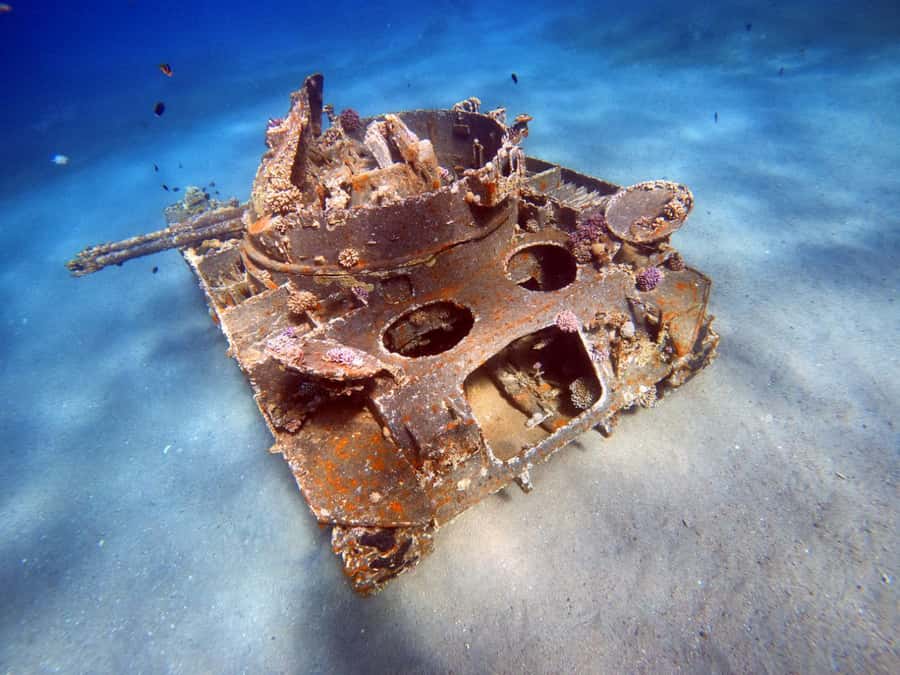 Aqaba: Private Red Sea Diving for Beginner or Experienced - Reefs, fish, and the unusual wreck route