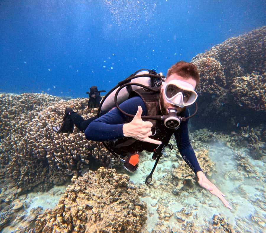 Aqaba: Private Red Sea Diving for Beginner or Experienced - What the $50 price really covers