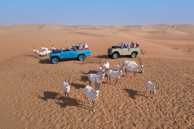 Authentic Safari in Vintage Land Rover with Traditional Dinner - A torch-lit Bedouin camp with a low-key mood