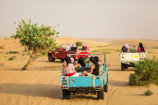 Authentic Safari in Vintage Land Rover with Traditional Dinner - Leaving Dubai for the conservation reserve