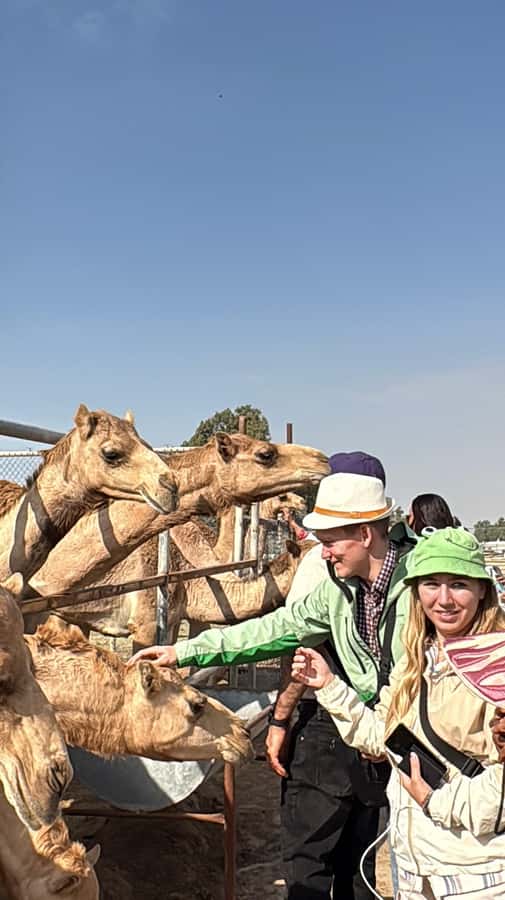 Bahrain Full-Day Highlights Tour:Manama,Desert&Tree of Life - Forty-five minutes in Manama Souq