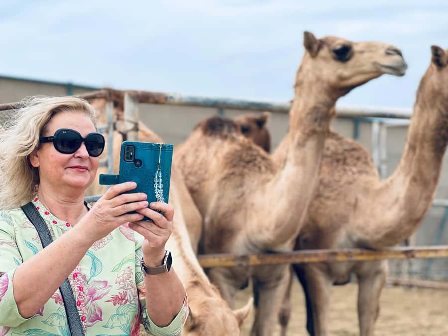 Bahrain in a Day from City Lights to Desert Landscapes - Five things to know before booking