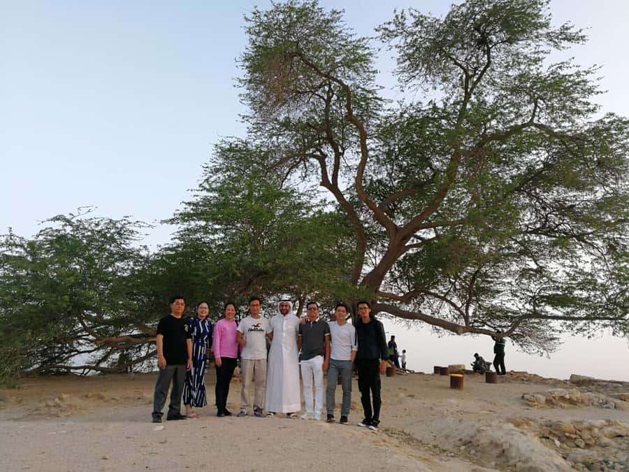 Bahrain in a Day from City Lights to Desert Landscapes - Why this four-hour route works for a first look at Bahrain