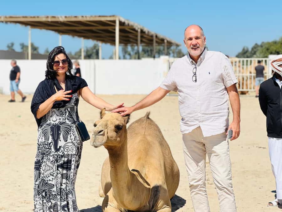 Bahrain in a Day from City Lights to Desert Landscapes - Meeting the camels in the desert