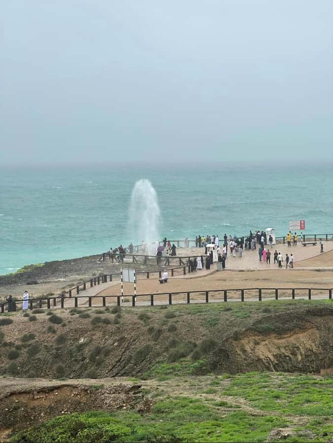 Caribian Orient (Swiming at Fazayeh Beach ) - Photographs, camels, and flamingos add variety