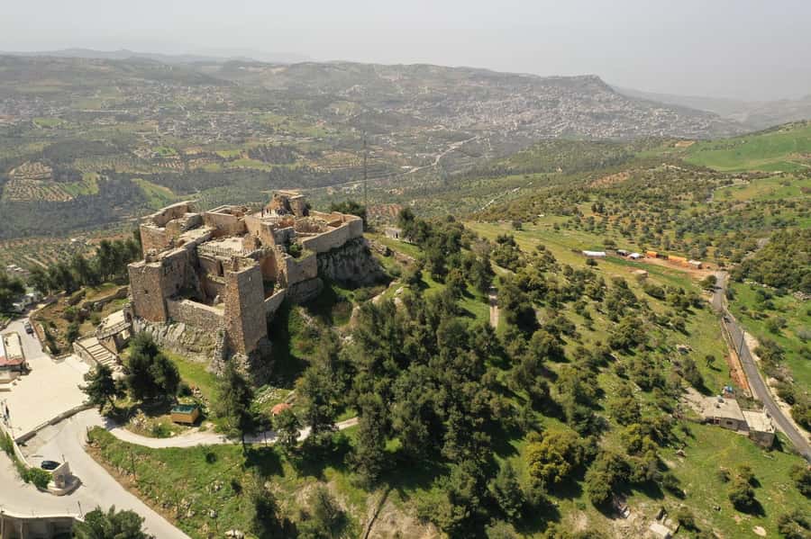 Day Tour Jerash - Ajloun and Um Qais From Amman - Key points to know before booking