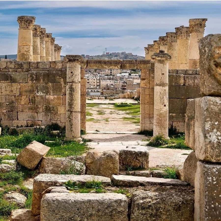 Day Tour Jerash - Ajloun and Um Qais From Amman - What the private car changes