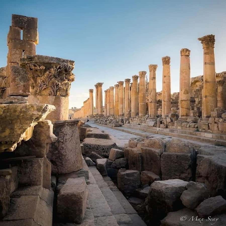 Day Tour Jerash - Ajloun and Um Qais From Amman - Lunch, coffee, and the small personal touches