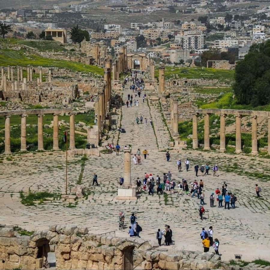 Day Tour Jerash - Ajloun and Um Qais From Amman - Ajloun Castle adds a medieval change of pace