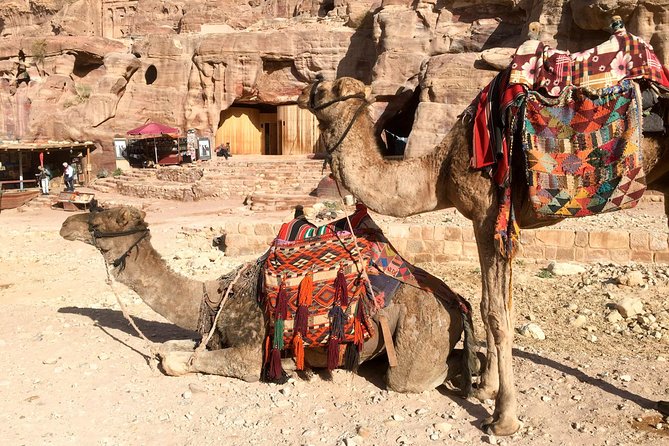 Day Tour to Petra from Eilat - What you actually see inside Petra