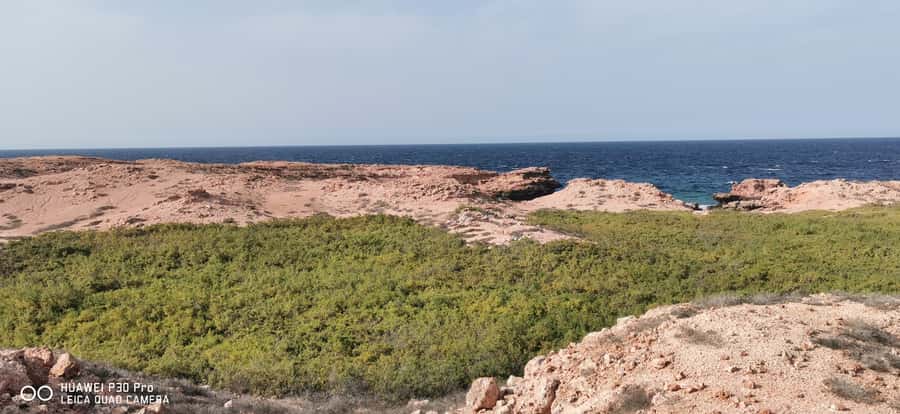 Daymaniyat Island: Snorkelling Tour with Tasty Lunch - How good is the $60 value?