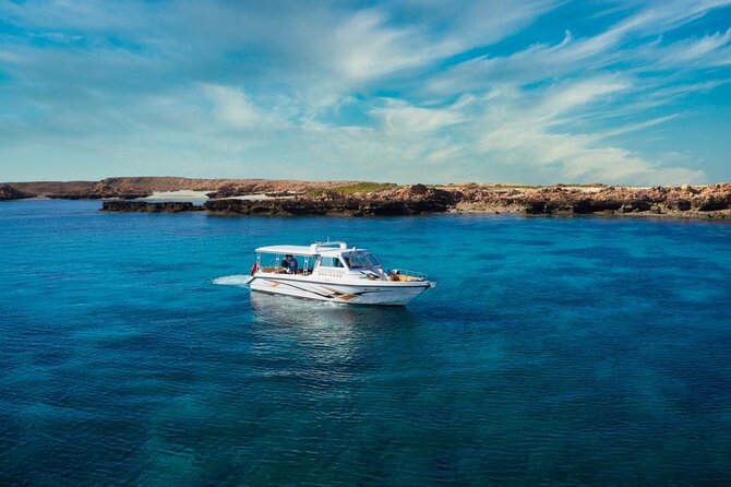 Daymaniyat Islands Snorkeling Sharing Trip - A Second Reef Stop and Time to Swim