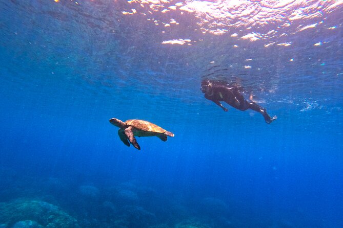 Daymaniyat Islands Snorkeling Sharing Trip - Kayaking, Snacks, and the Practical Comforts