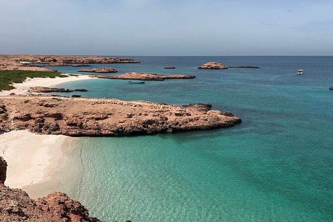 Daymaniyat Islands Snorkeling Sharing Trip - How Much Value Do You Get for $106?