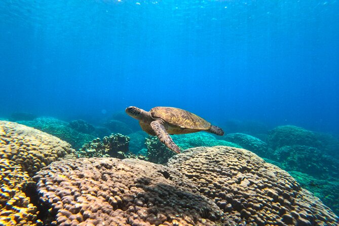 Daymaniyat Islands Snorkeling Sharing Trip - The Boat Ride Out to the Islands