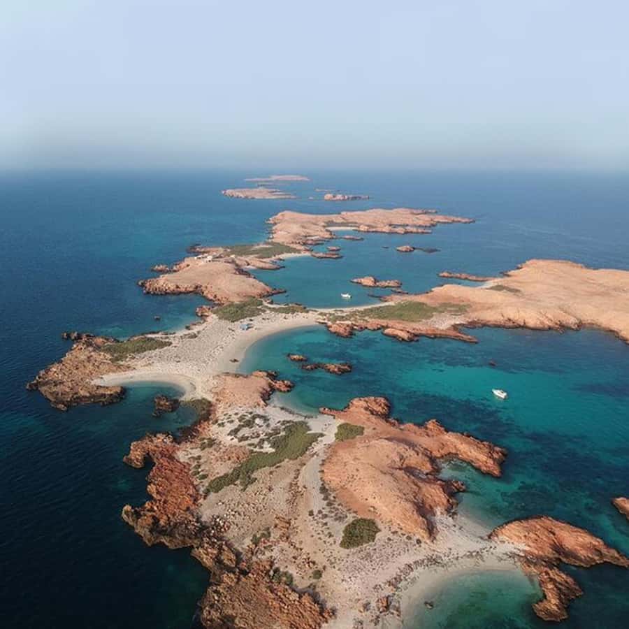 Daymaniyat Islands Snorkeling with Picnic Lunch - The second swim and free time