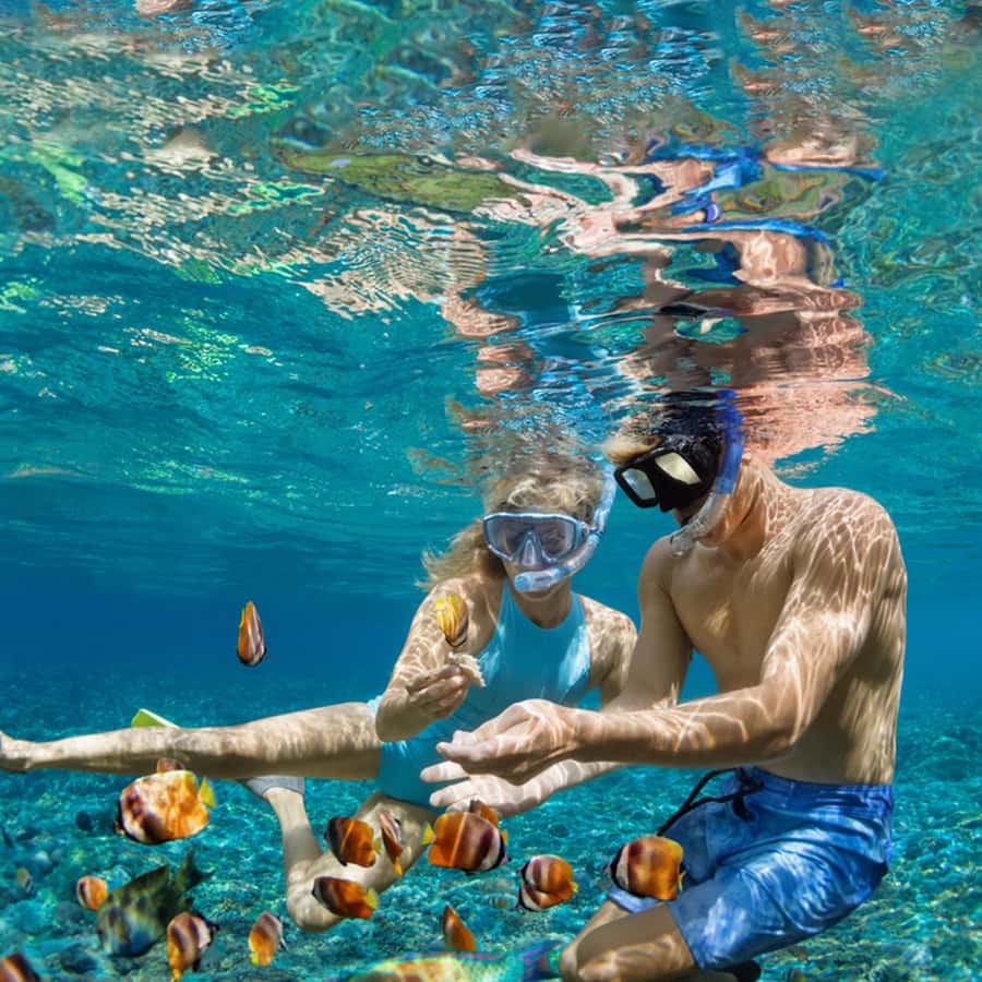 Daymaniyat Islands Snorkeling with Picnic Lunch - What $71 gets you