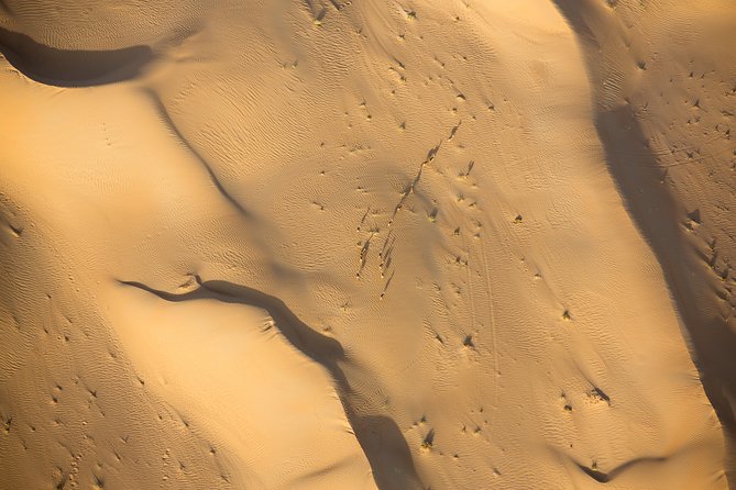 Deluxe Hot Air Balloon Ride with Breakfast & Flight Falcon Show - The camel ride is brief, not a full desert safari