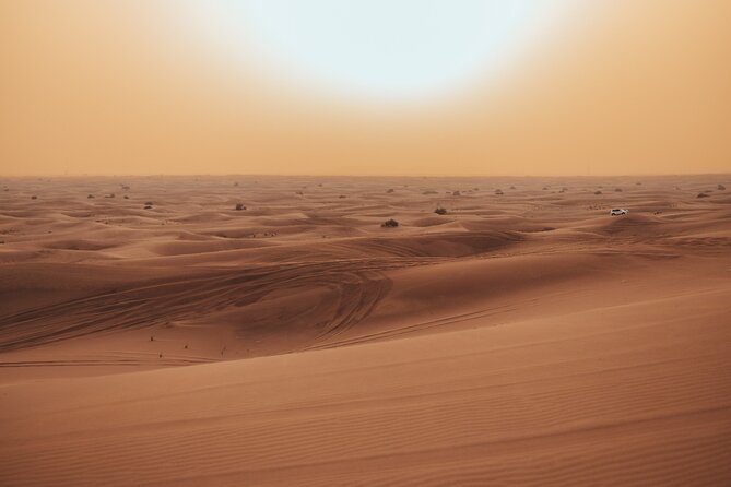Deluxe Sunset Desert Safari: SandSurfing, Camel Ride & BBQ dinner - A short camel ride and falcon photo