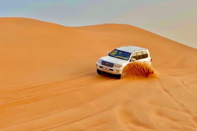 Desert safari adventure with BBQ dinner - BBQ dinner and soft drinks