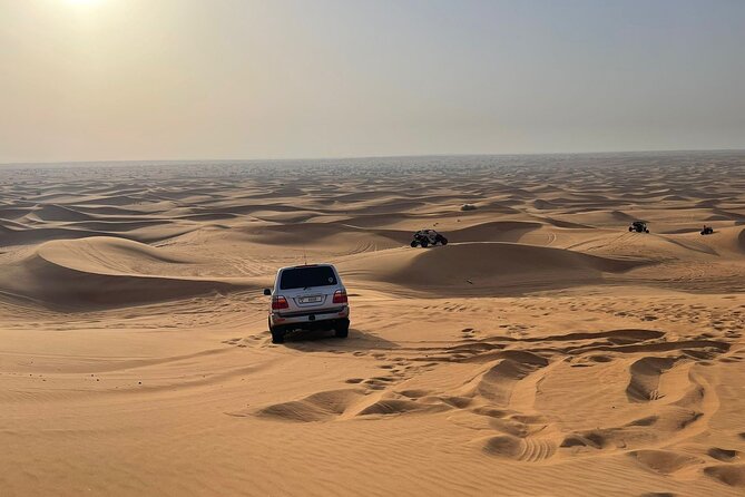 Desert safari adventure with BBQ dinner - Guides, vehicles, and group size