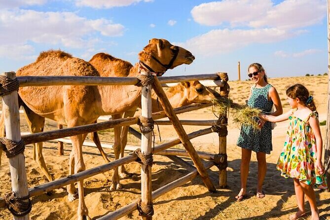 Desert Safari Dubai 30 Mins Quad Bike, Sand Board, Camel Ride BBQ - Sandboarding and the short camel ride