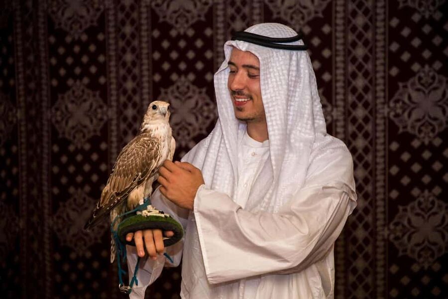 Desert Safari Dubai with Camel Ride, Sandboarding & Dinner - Practical Tips for a Better Day