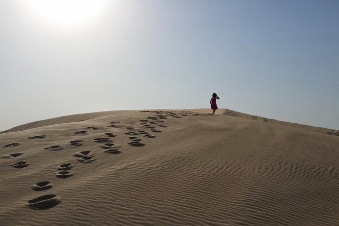 Desert safari, Dune bashing, sandboarding, camel, ATV Option - Optional ATVs and what the extra cost means