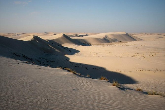 Desert safari, Dune bashing, sandboarding, camel, ATV Option - How much value do you get for $46.55?