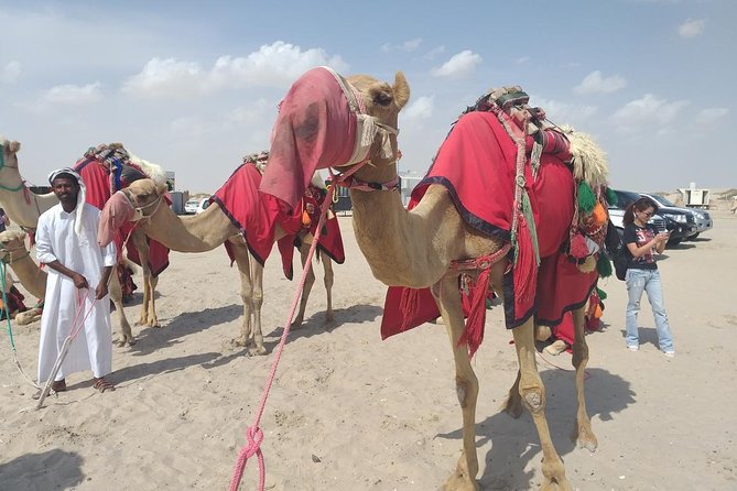 Desert safari, Dune bashing, sandboarding, camel, ATV Option - Who will enjoy this desert safari most?