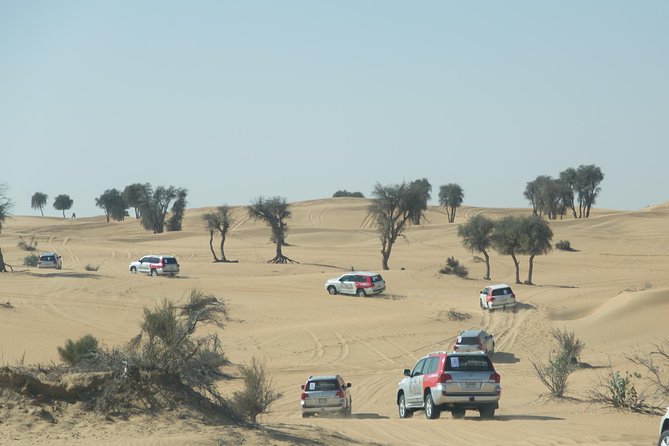 Desert Safari in Dubai with full package - no hidden cost - The 4x4 dune-bashing ride is the strongest part