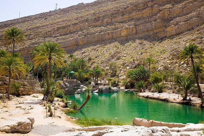 Desert Safari Private - Wahiba Sands and its towering dunes