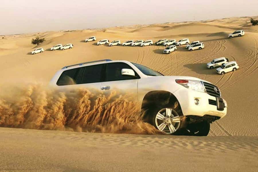Desert Safari, Quad Bike, Camel Ride, Falcon & Sandboarding - Why this Qatar desert safari works well