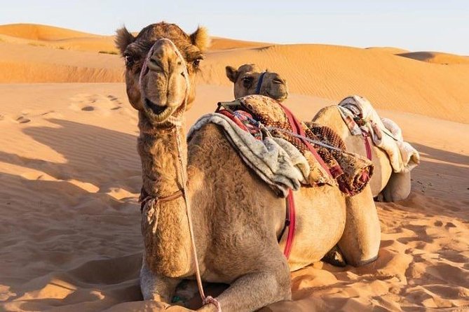Desert Safari Sharing Tours - The 8am pickup from Muscat